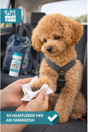 Evcil Hayvan Tüy Göz Kulak Pati Temizleme Mendili Kedi ve Köpekler İçin Islak Mendil 100 Adet Image 4