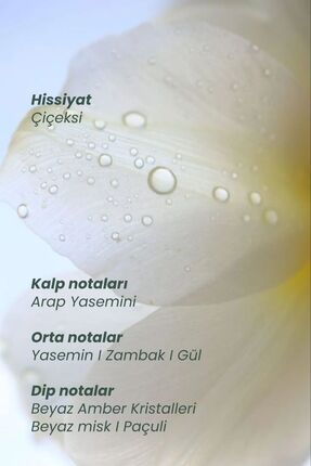 MYTH Hair Perfume Image 4