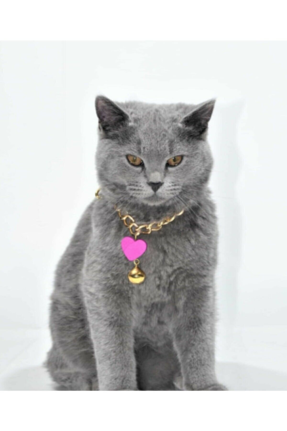 CKV CENTER Çanta Kedi Tasması Kedi Kolyesi Gold Ayarlanabilir Tasma Çıngıraklı Kalpli