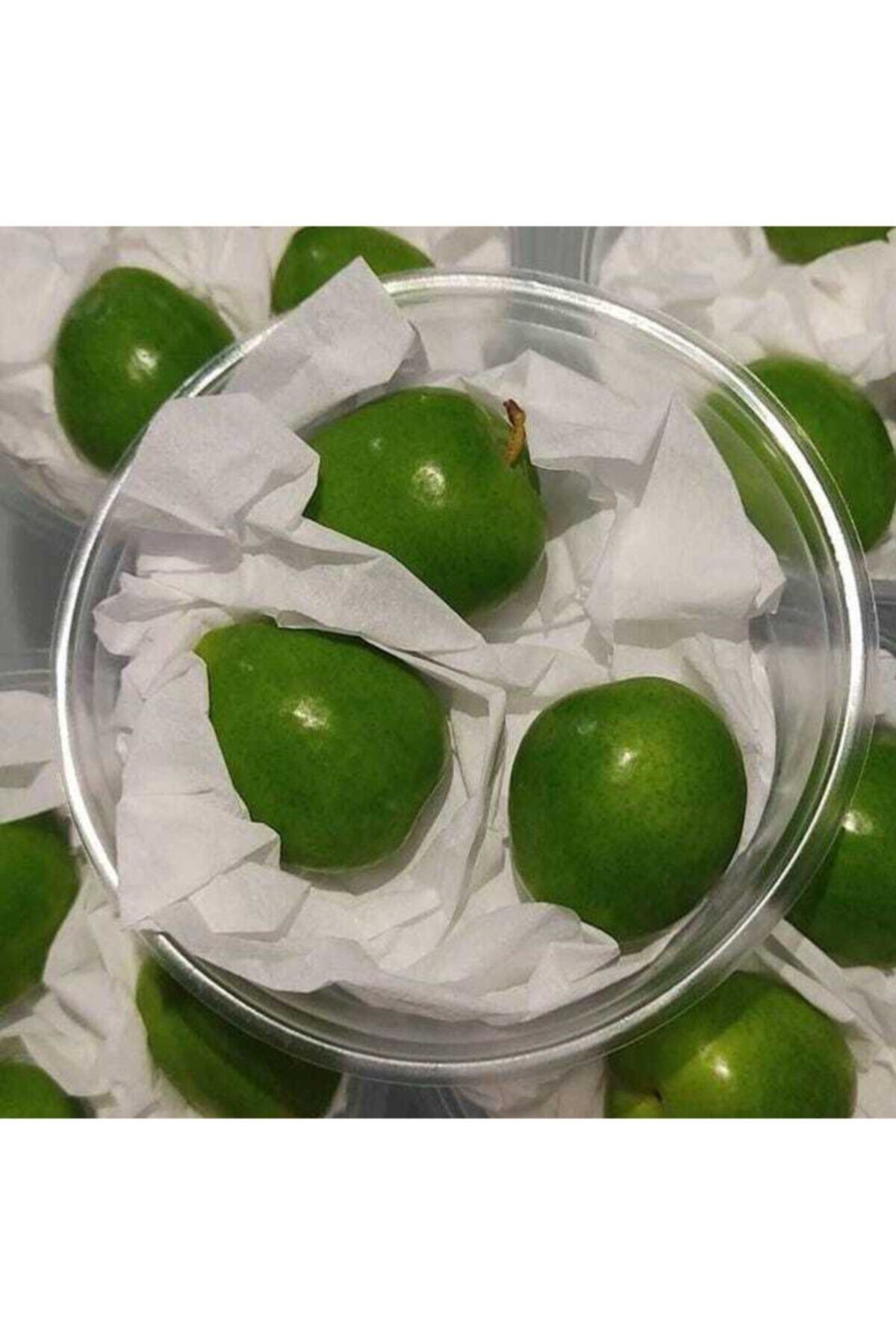erikcim Yeşil Erik Taze Ve Dalından (50 GR) 3 Adet
