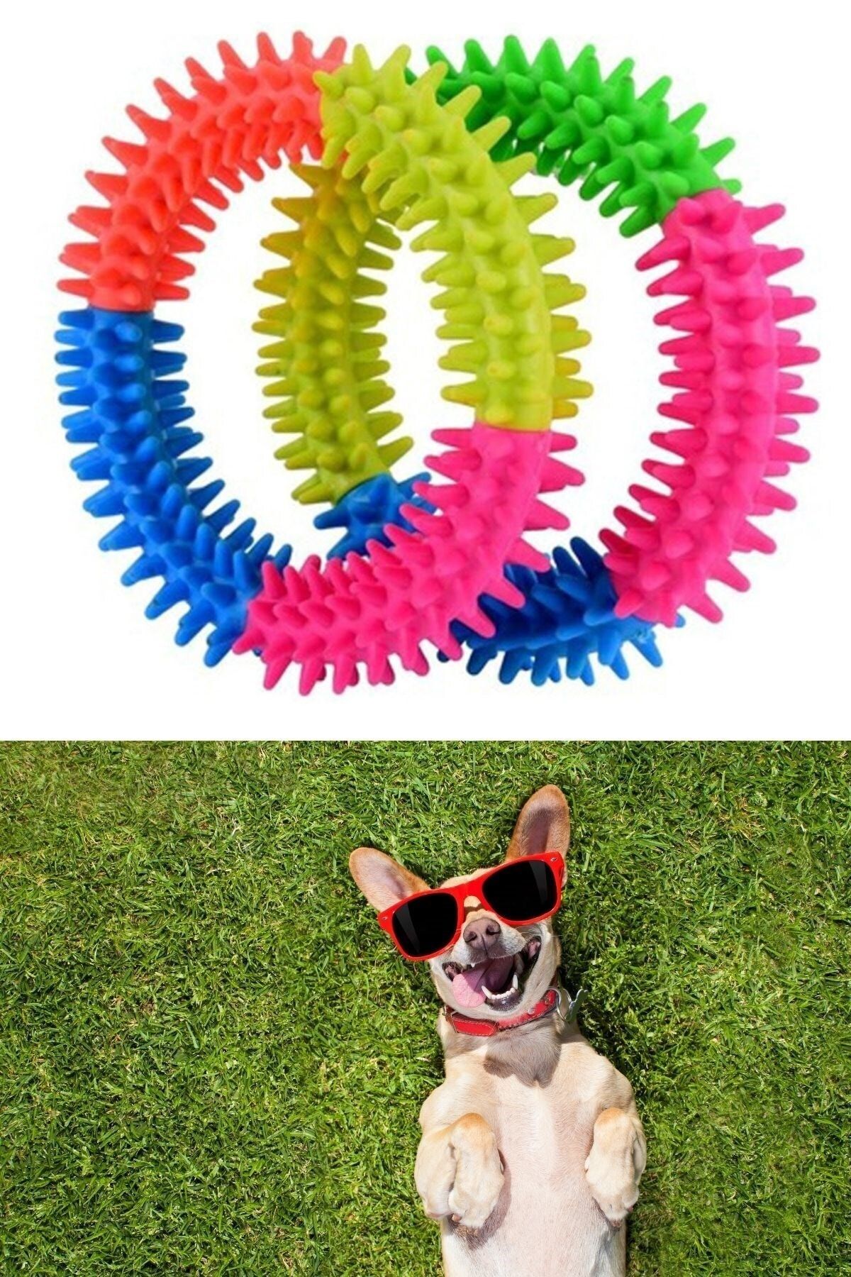 Buffer 2 Adet Köpek Diş Temizleyici Ve Kaşıyıcı Sağlıklı Eğlenceli Oyuncak