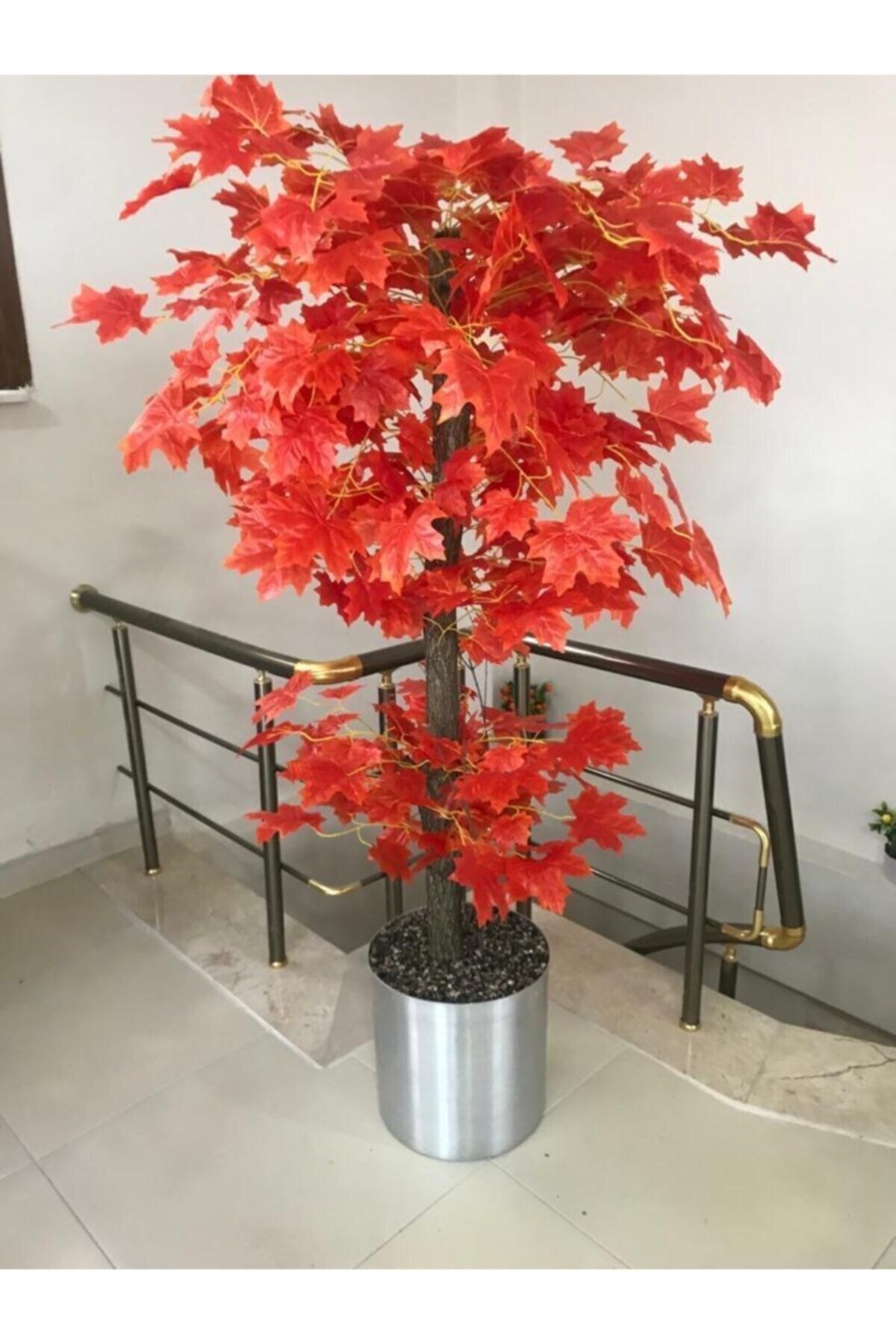 Cihan Çiçekçilik Kızıl Hazan Yaprak Çınar Ağacı 180 Cm Metal Saksıda