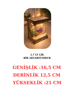 Beta Mini Ledli ışıklı Akvaryum Ahşap Tasarım Hediyelik Kişiye özel Üretim Image 2