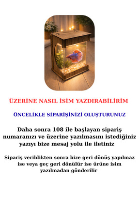 Beta Mini Ledli ışıklı Akvaryum Ahşap Tasarım Hediyelik Kişiye özel Üretim Image 1