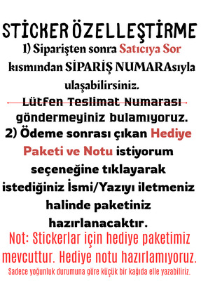 Kişiye Özel Hackback Araç Arka Cam Yazısı Sticker| Golf,Corsa Polo vb Yazısı 6 Renk 50x8 cm Image 3