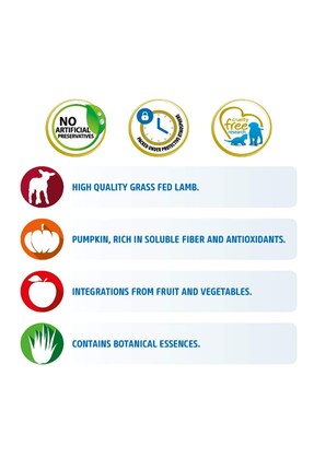 Pumpkin Tahılsız Kuzu Küçük Irk Yetişkin Köpek Maması 2,5 Kg Image 3