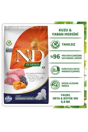 Pumpkin Kuzu&Yaban Mersini Orta Büyük Irk Yavru Köpek 2,5 Kg Image 1