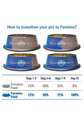 Pumpkin Tahılsız Kuzu Küçük Irk Yetişkin Köpek Maması 2,5 Kg Image 5