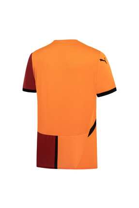 Galatasaray S.K. 24/25 ERKEK İÇ SAHA FORMASI Image 2