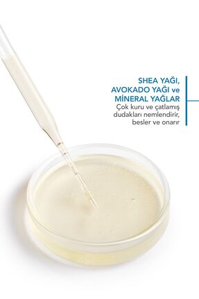 Atoderm Lip Balm Kuru, Çatlamış Dudak Besleyici Nemlendirici Dudak Kremi Avokado ve Shea Yağı 15 ml Image 1