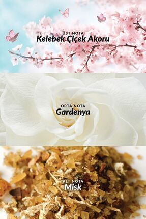 Eve Become Kadın Parfüm Edp 50 Ml. Image 2