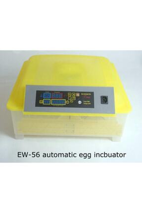 56lı Tam Otomatik Kuluçka Makinesi Full Otomatik Kuluçka Makinası Image 6
