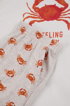 Ekru Regular Fit Yengeç Baskılı Pamuklu Pijama Takımı TMNSS26PT00020 Image 2