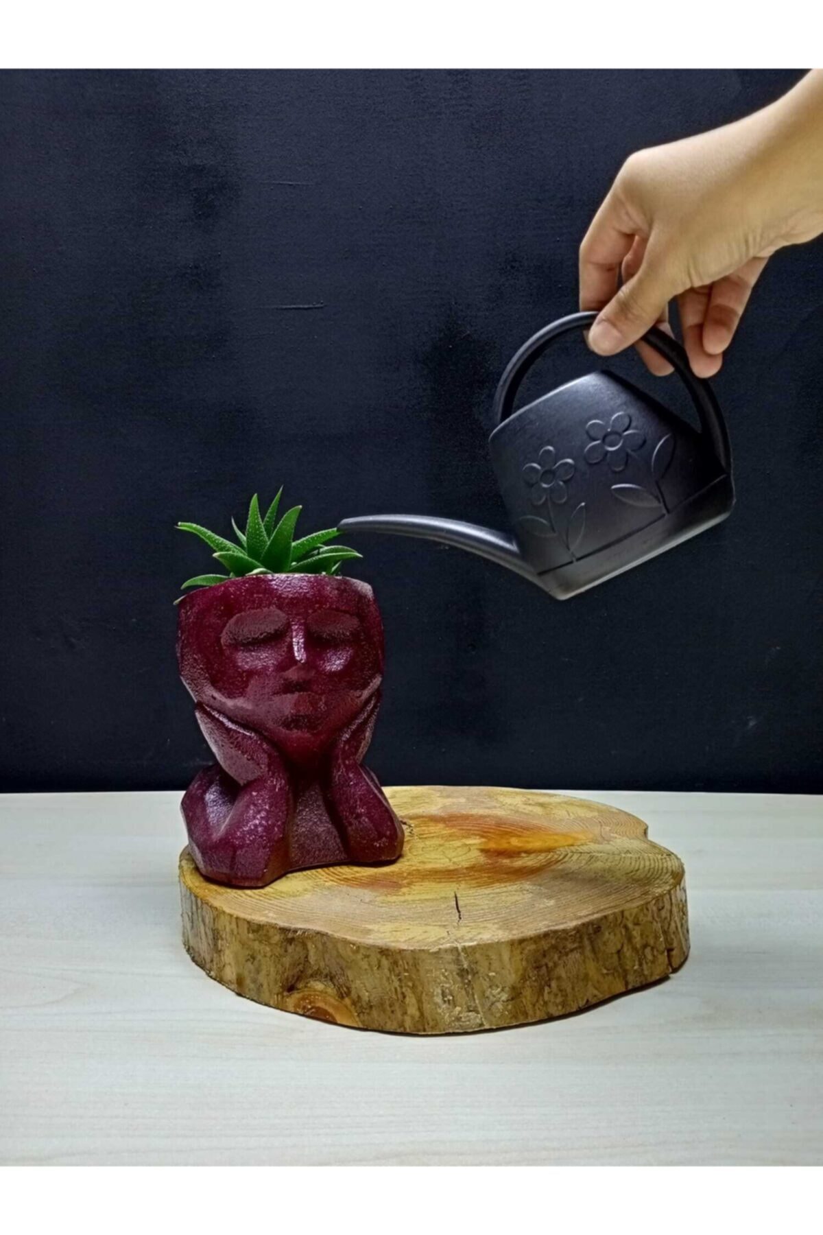 Magenta Papatya Model Siyah Kaktüs Sulama Kabı