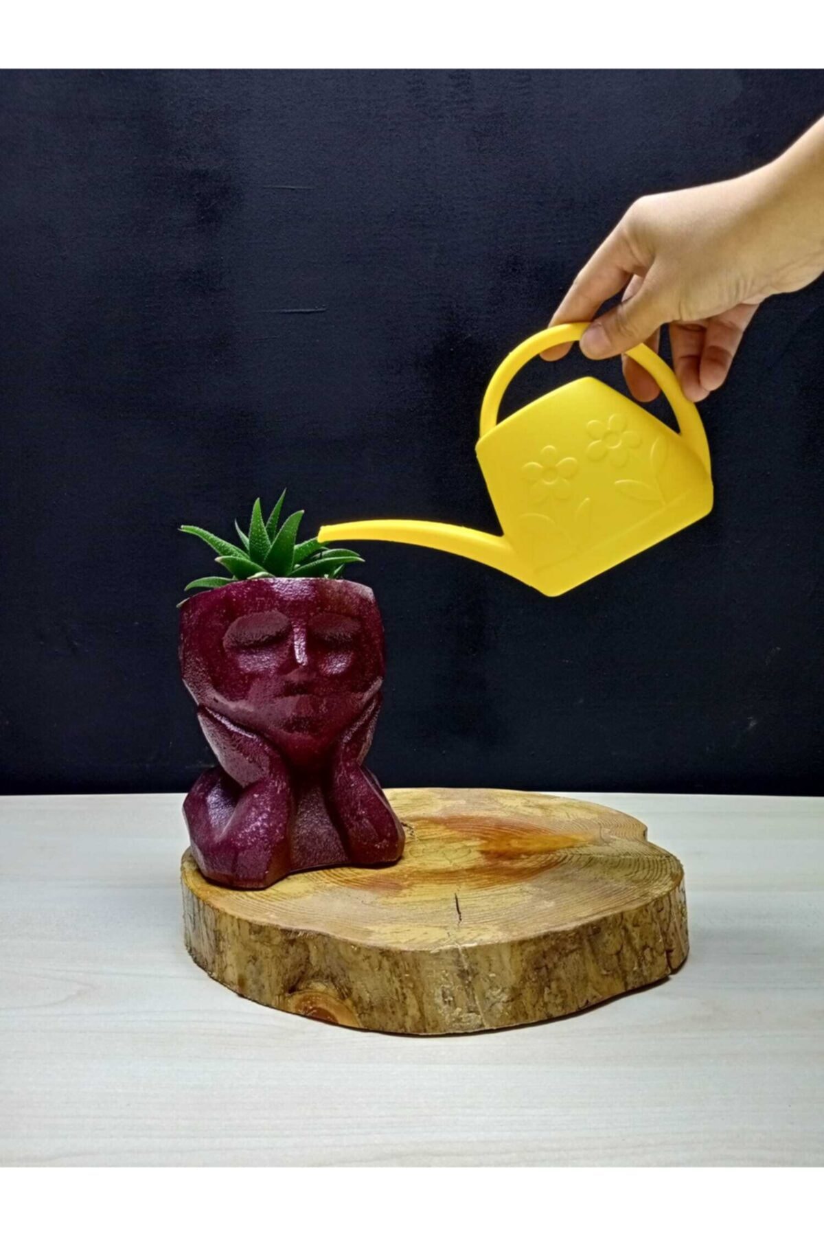 Magenta Papatya Model Sarı Kaktüs Sulama Kabı