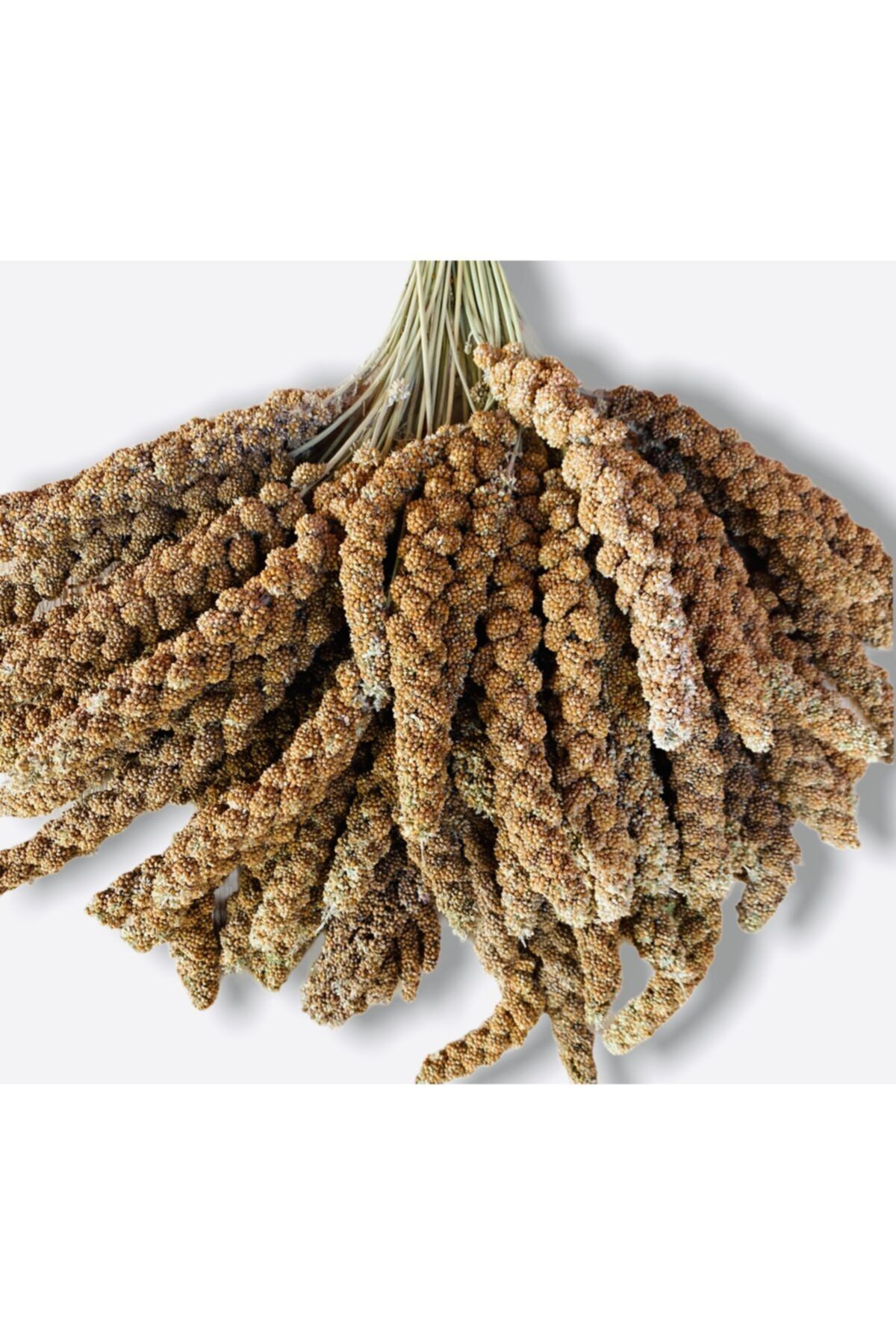 mnö mammamia mix Kızıl Daldarı 250 Gr