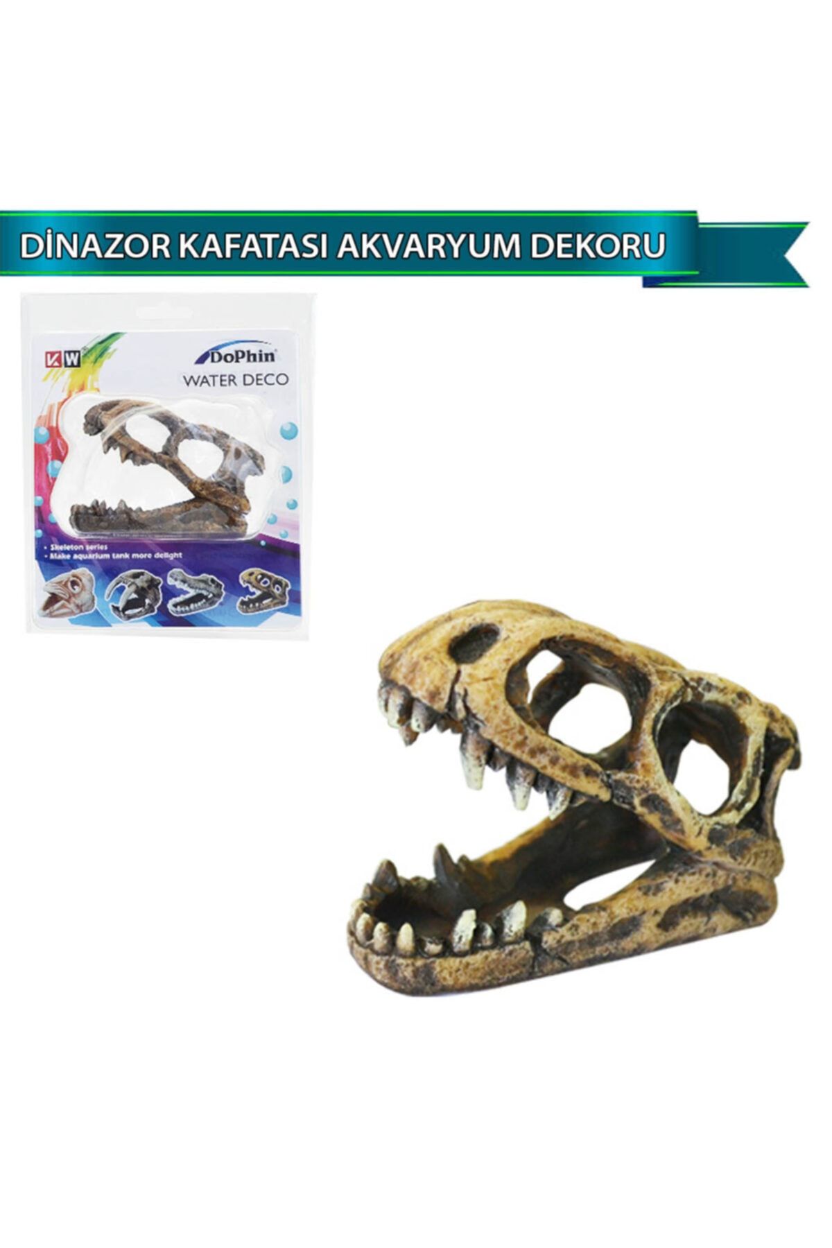 Dophin Dinazor Kafatası Akvaryum Dekoru