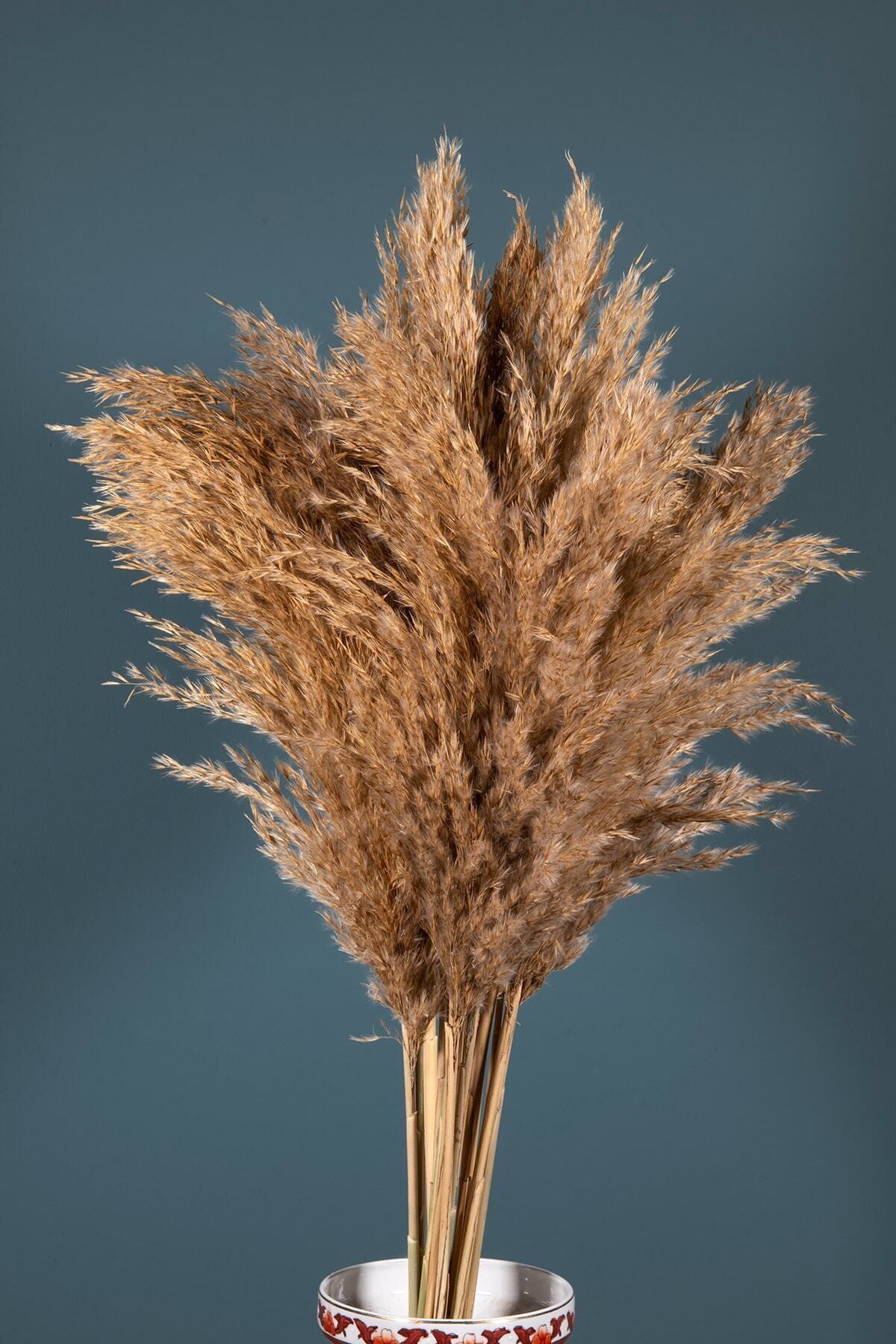 YAPAY ÇİÇEKÇİNİZ Naturel Şoklanmış Pampas 16 Adet