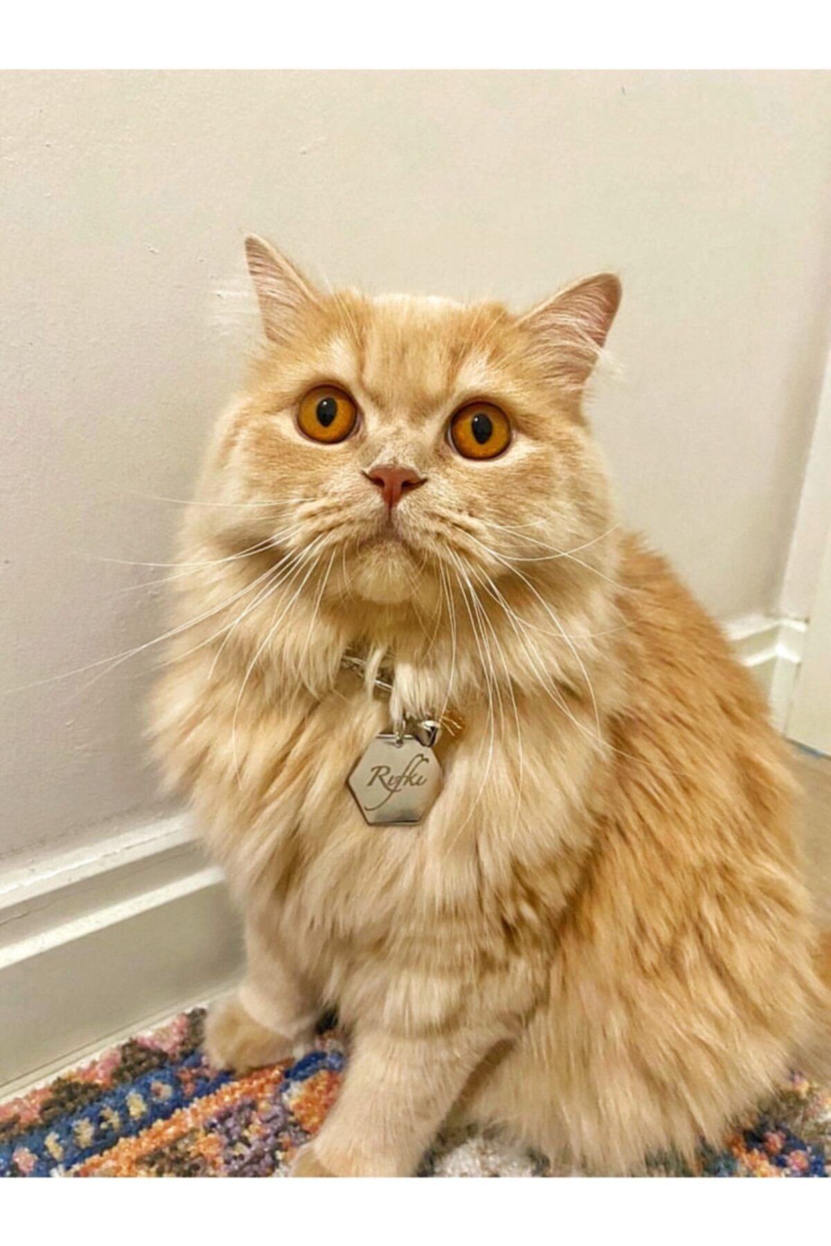 Petkünyem Silver Petek Kedi Künyesi