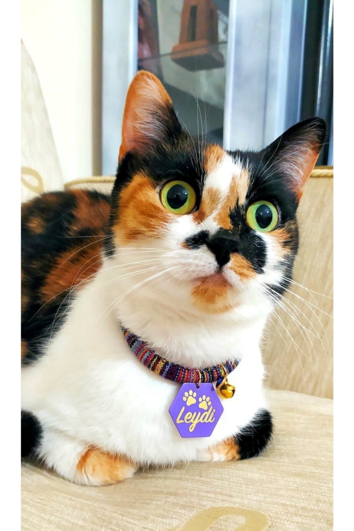 Petkünyem Örgü Detaylı Mor Petek Kedi Künyesi