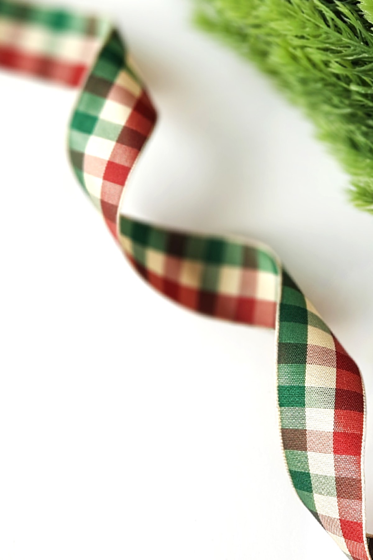 Funbou Ekose kurdele, yılbaşı