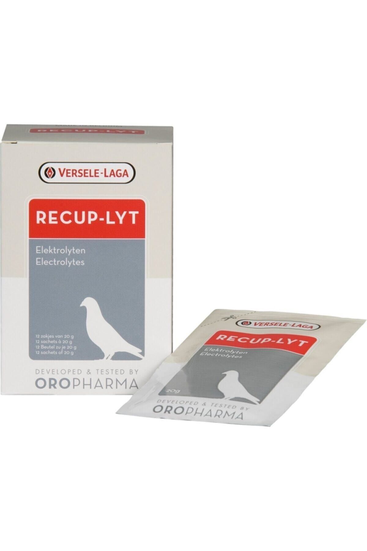 Versele Laga Verselelaga Or.recup-lyt(Yarışgüvercin Elektrolik Dest)