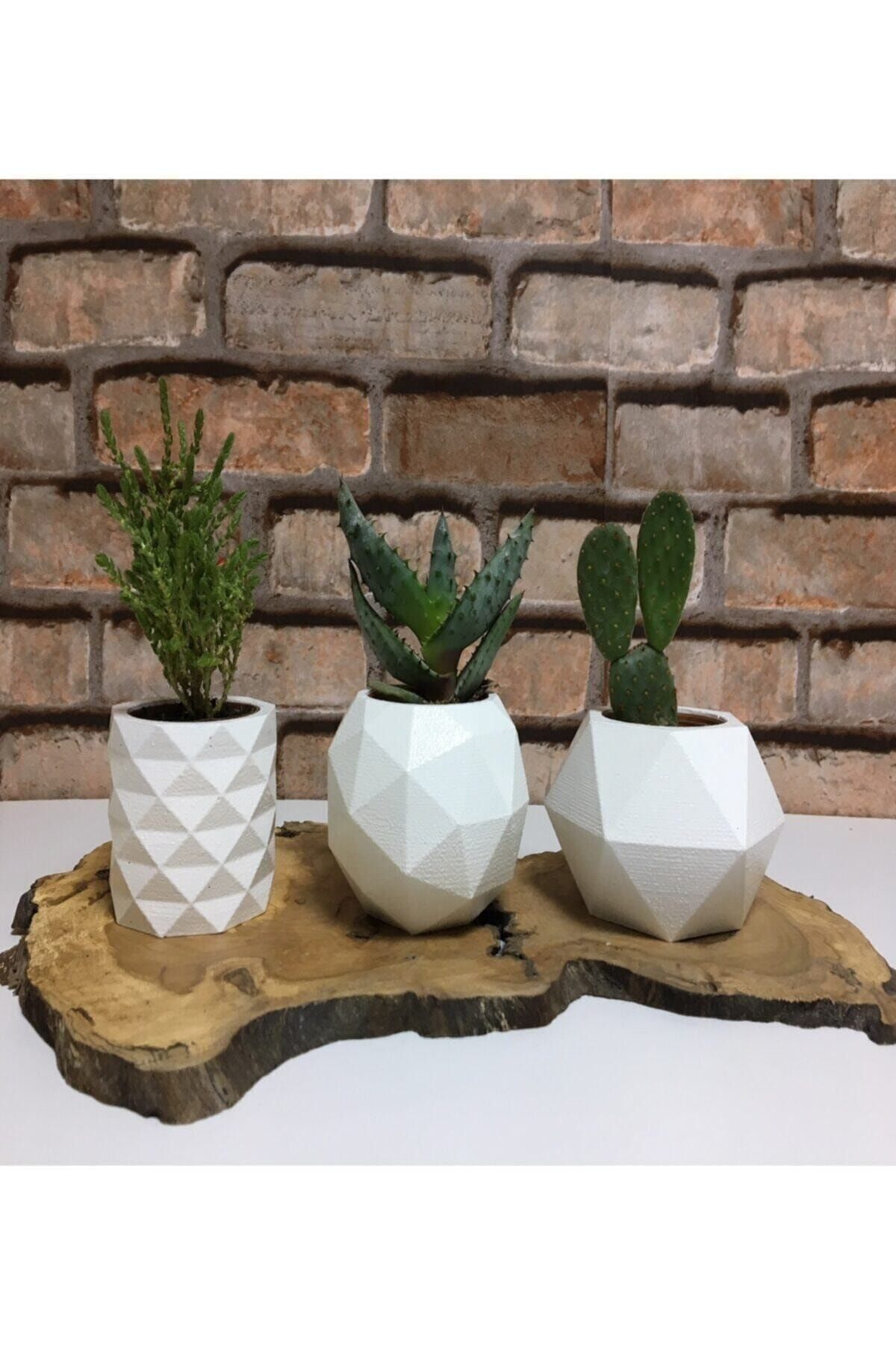 decolight 3'lü Beyaz Renk Beton Sukulent Ve Kaktüs Saksısı