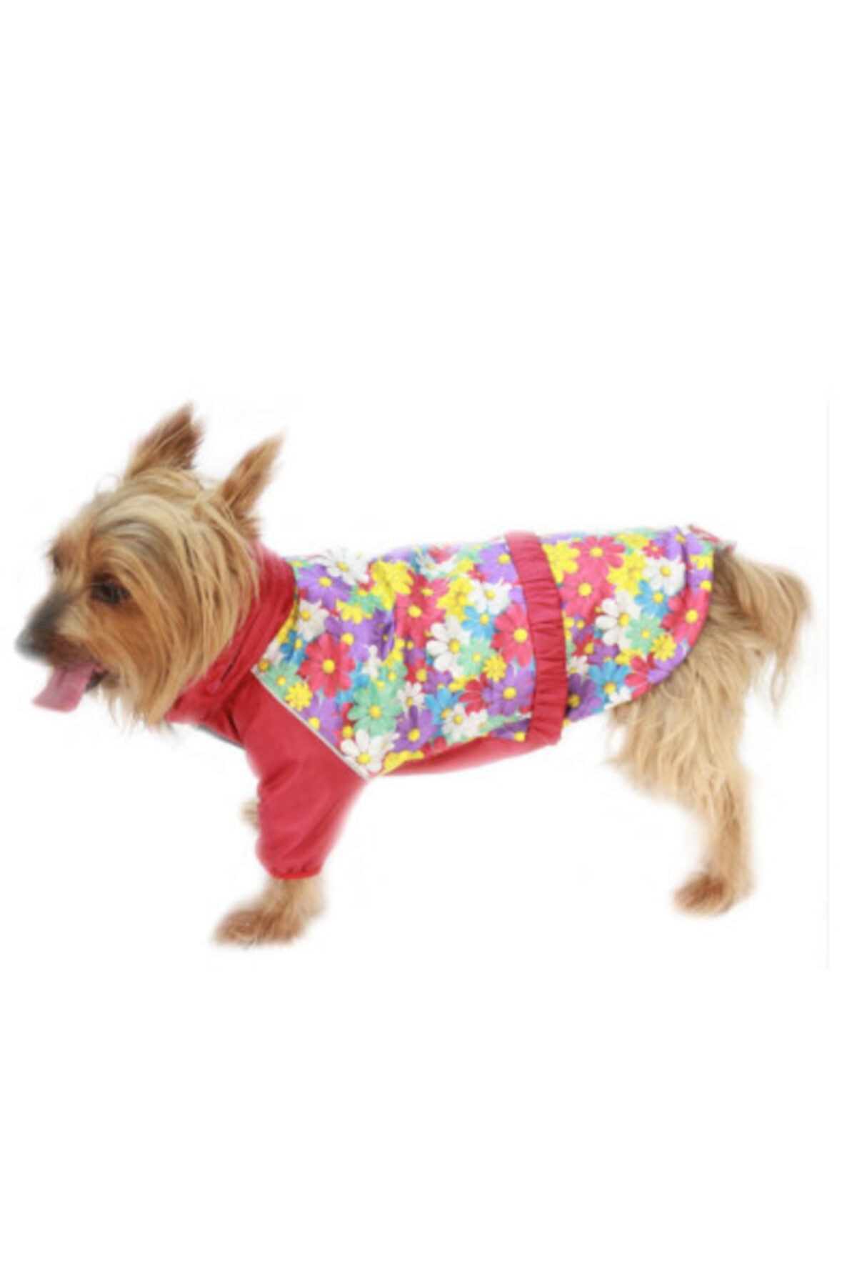 Pawstar Daisy Romper Küçük Ve Orta Irklar Için Tulum-Mont Yağmurluk Köpek Kıyafeti S