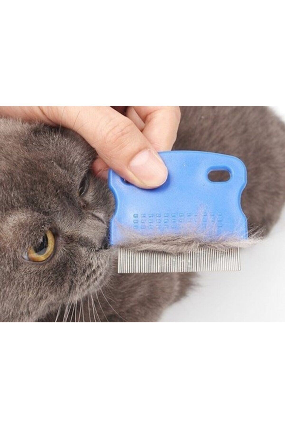 Toptan Bulurum Avuç Içi Kedi Köpek Pire Tarağı