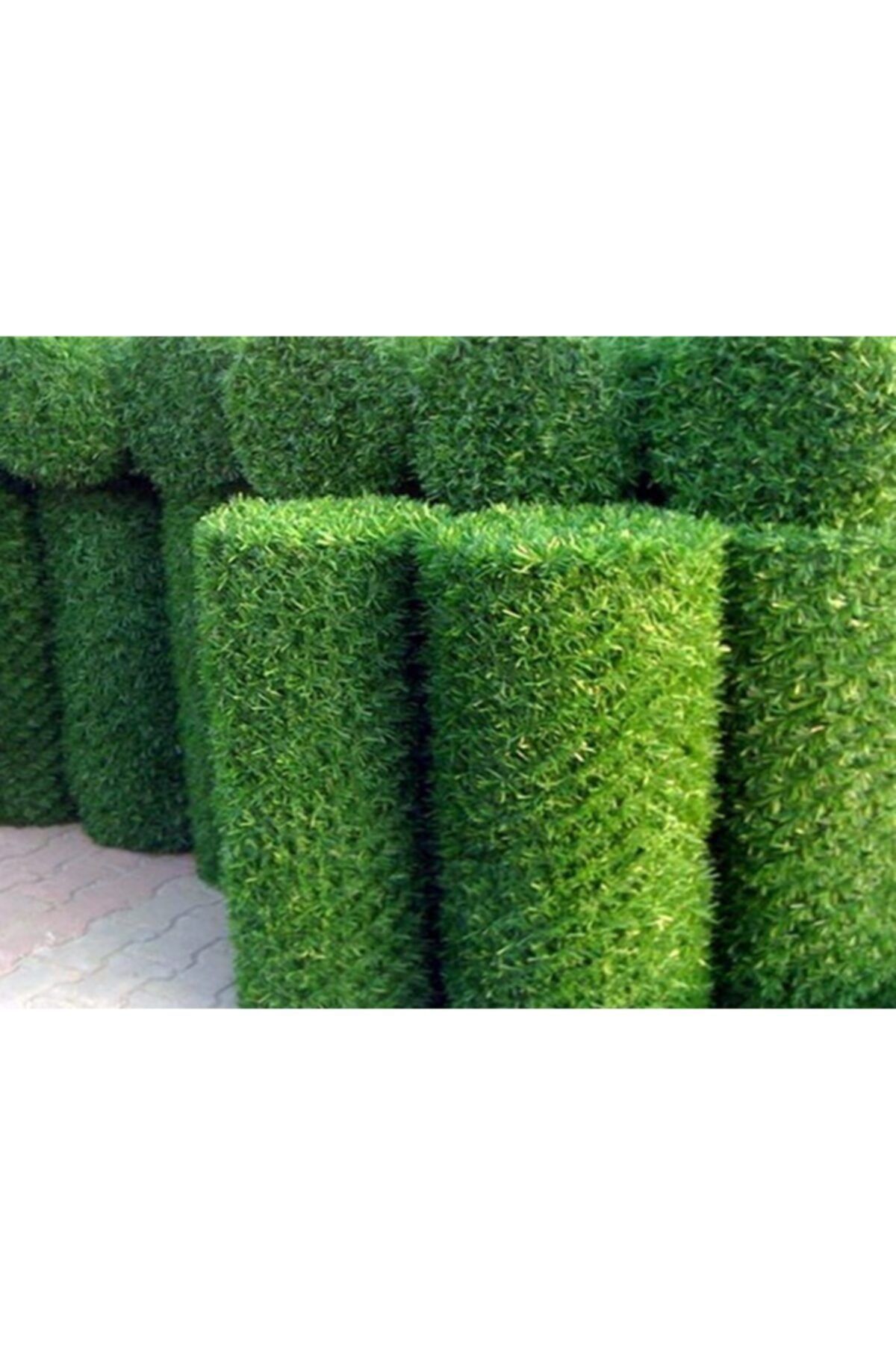 gardenworld Çim Çit Örgü Telli Bahçe Çiti 100 Cm X 1 Mt