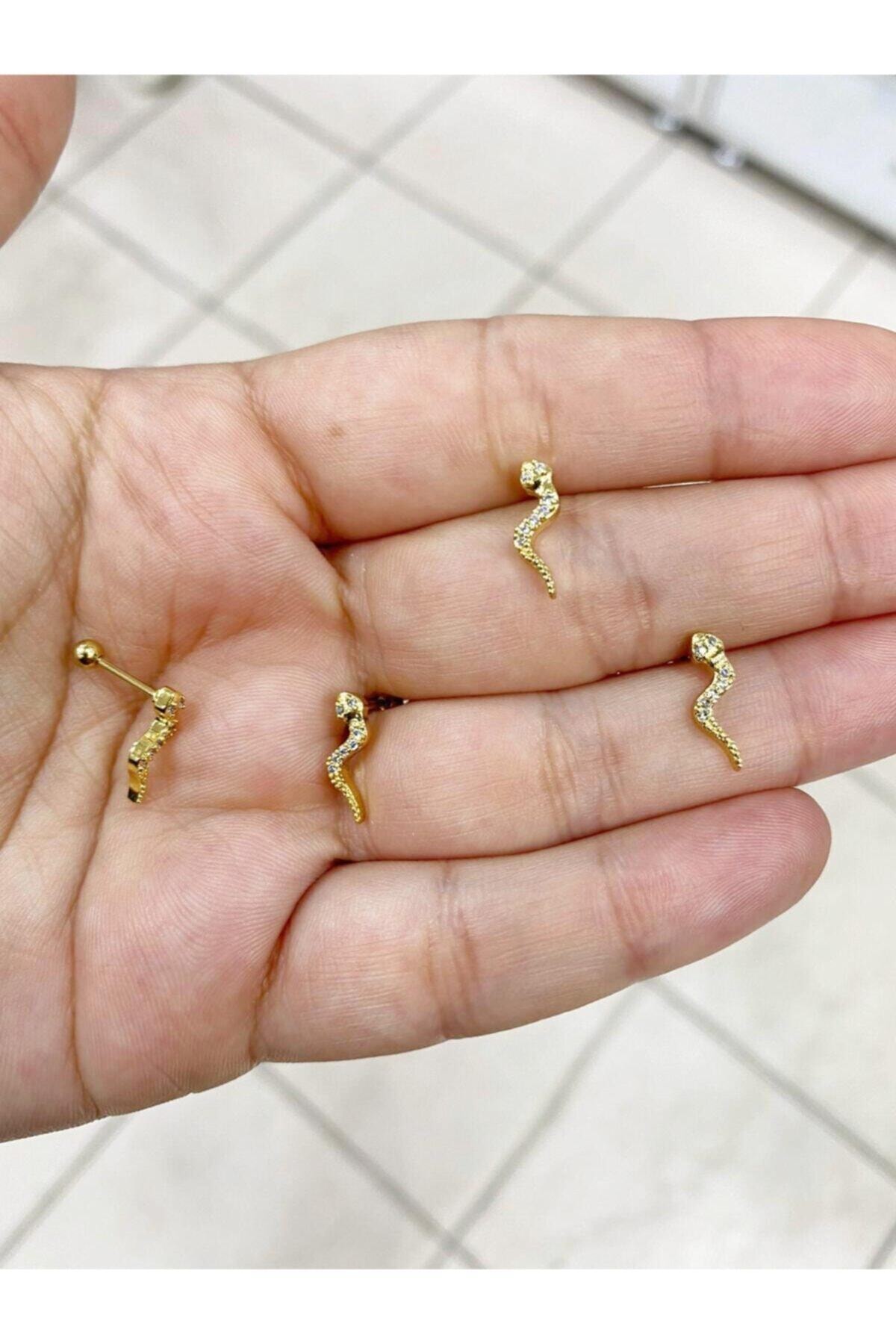 SHESTAKI Kadın Cerrahi Çelik Yılan Model Gold Renk Helix tragus Piercing
