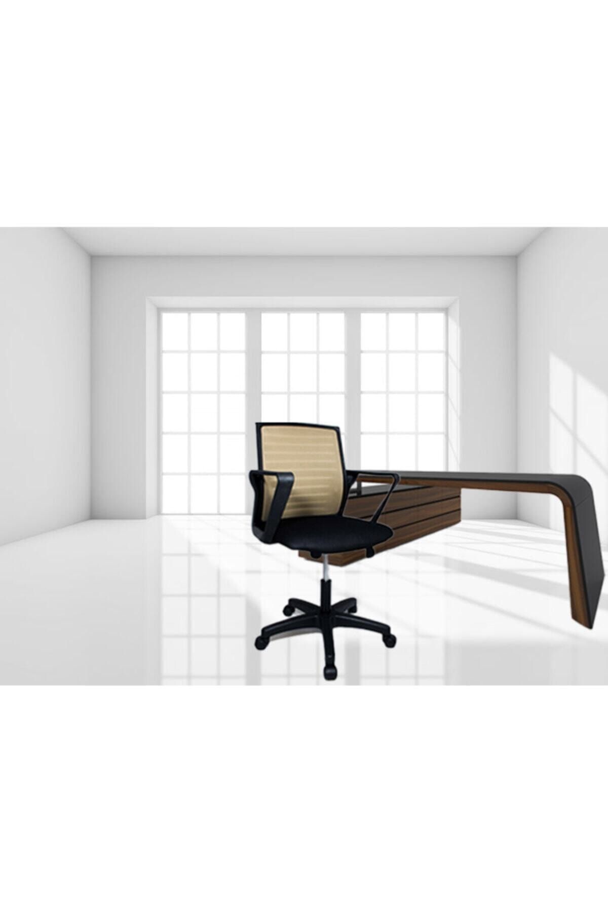 Orianna Design Tasarım Sırt Çalışma Koltuğu, Bilgisayar Koltuğu, Fileli Ofis Koltuğu