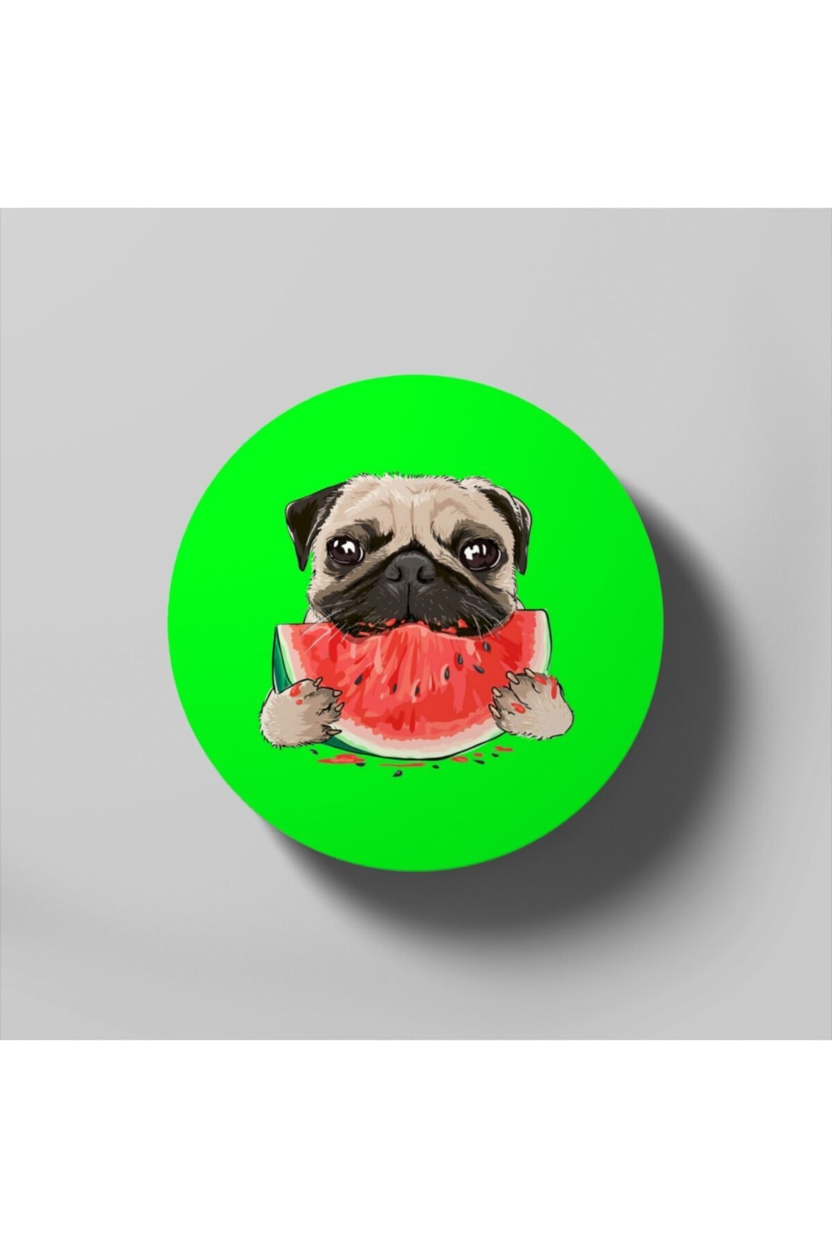 Fizello Funny Funny Pug Dog Eating Watermelon Bardak Altlığı