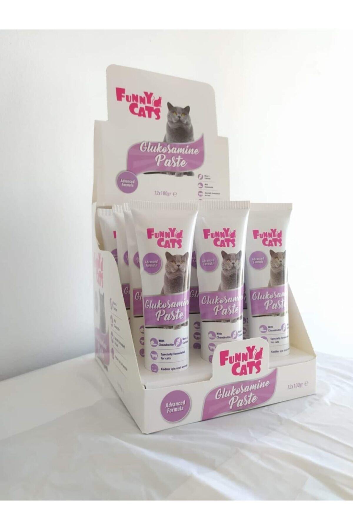 Dino Pet Butik Aksesuar Funny Cats Glukosamine Paste