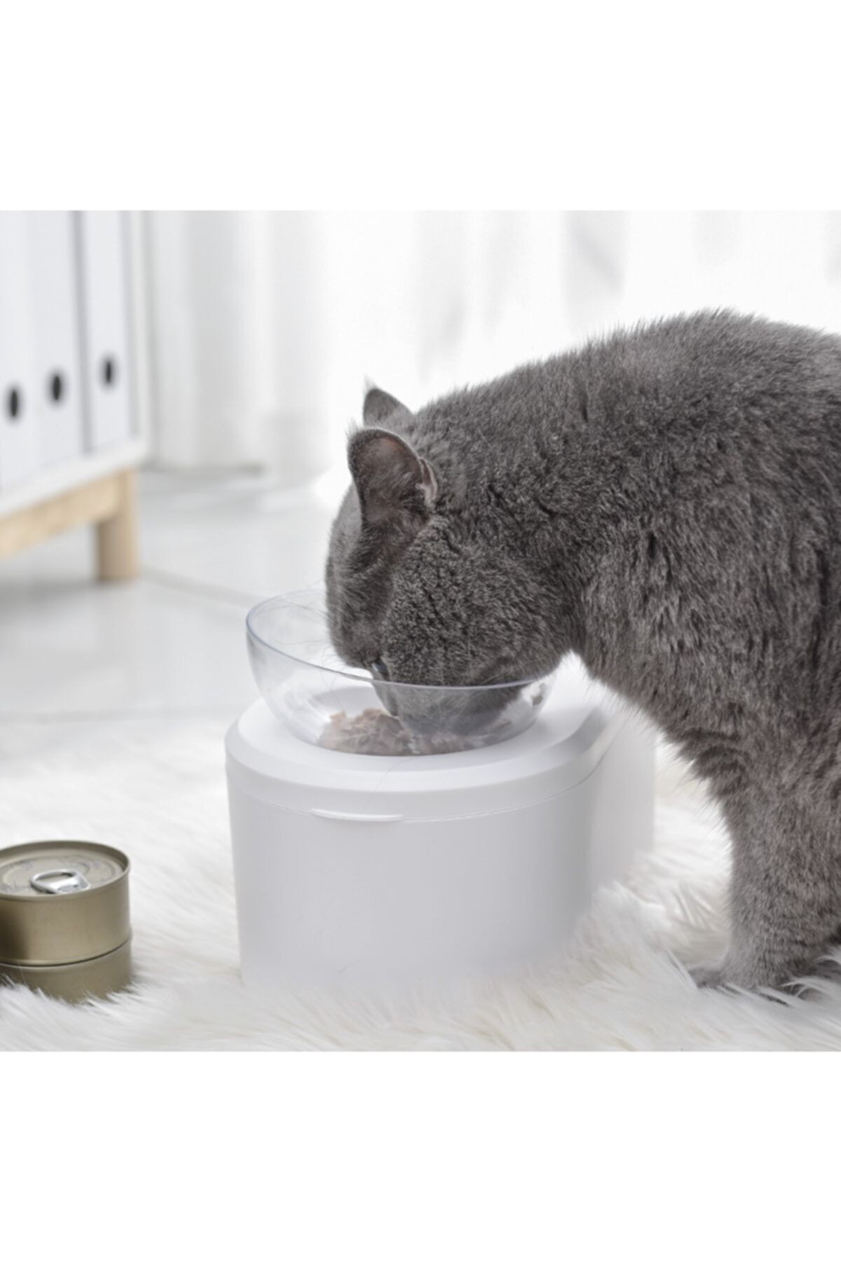Titanik Mikopet Gizli Bölmeli Kedi Mama Kabı