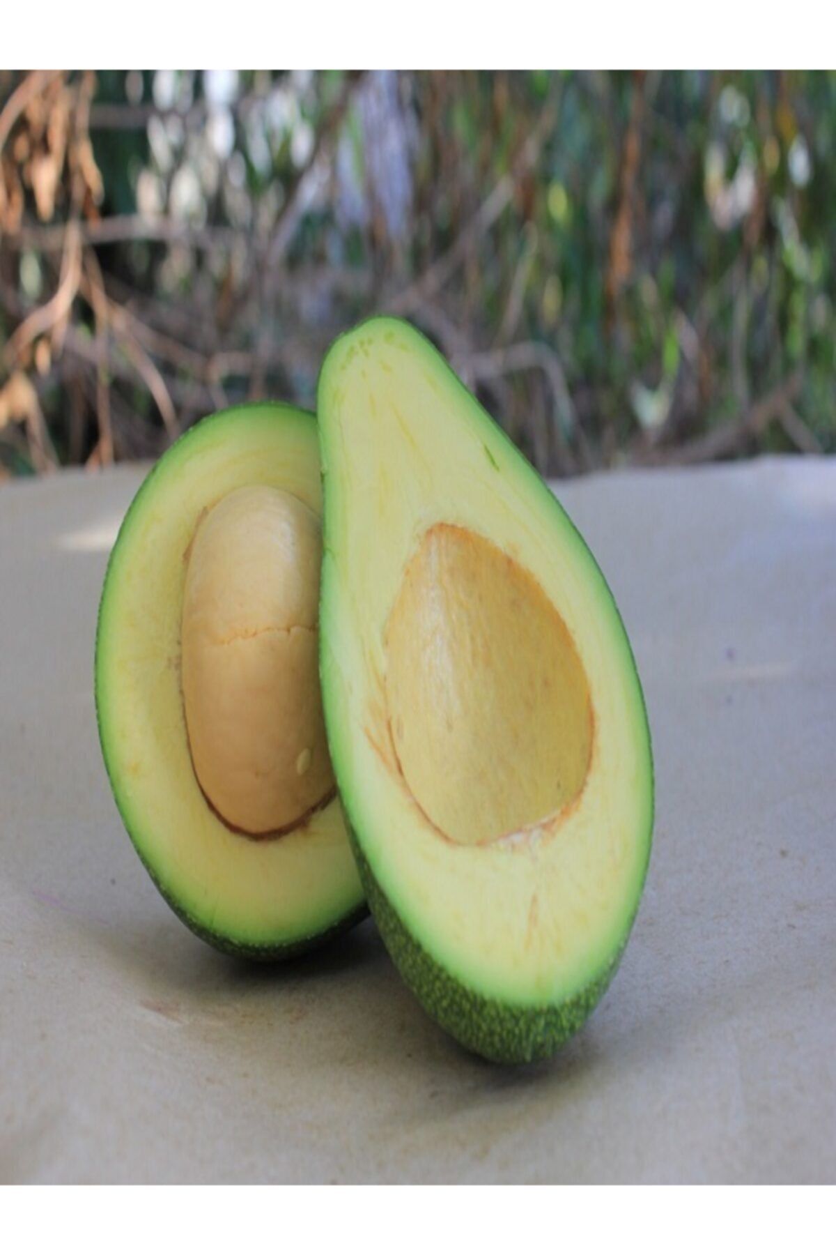 AKDENİZ KÖY SEPETİ Avokado Fuerte 300- 500 gr