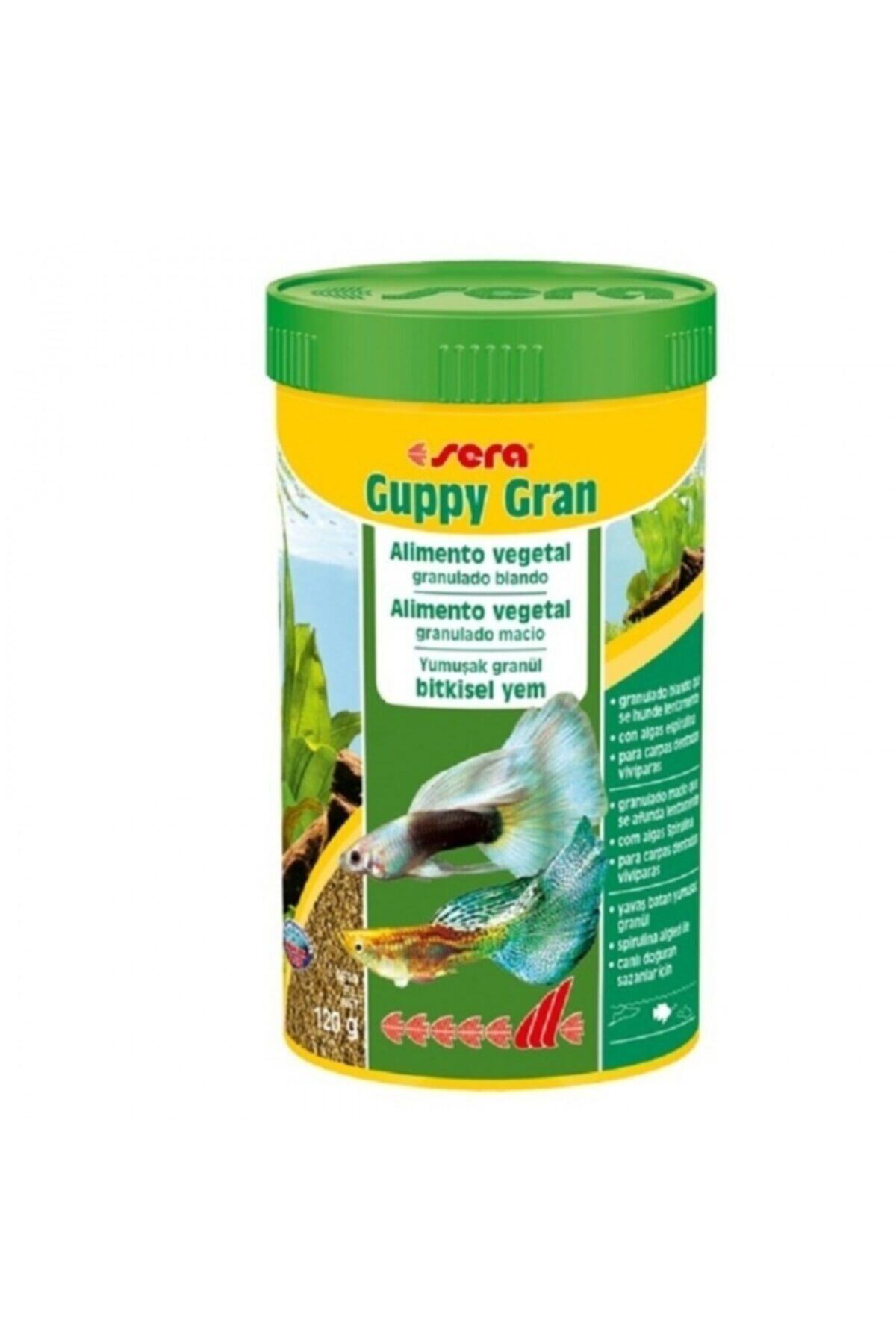 SERA Guppy Gran Özel Lepistes Balık Yemi 250 Ml