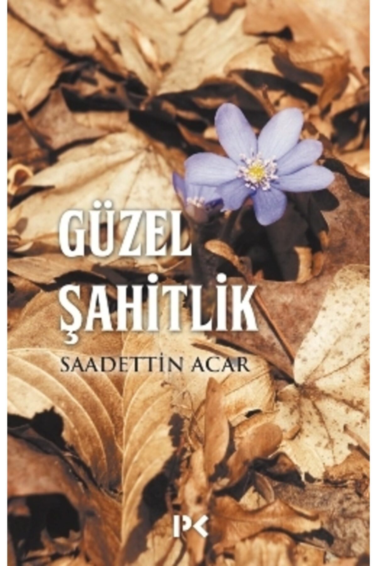 Profil Kitap Güzel Şahitlik