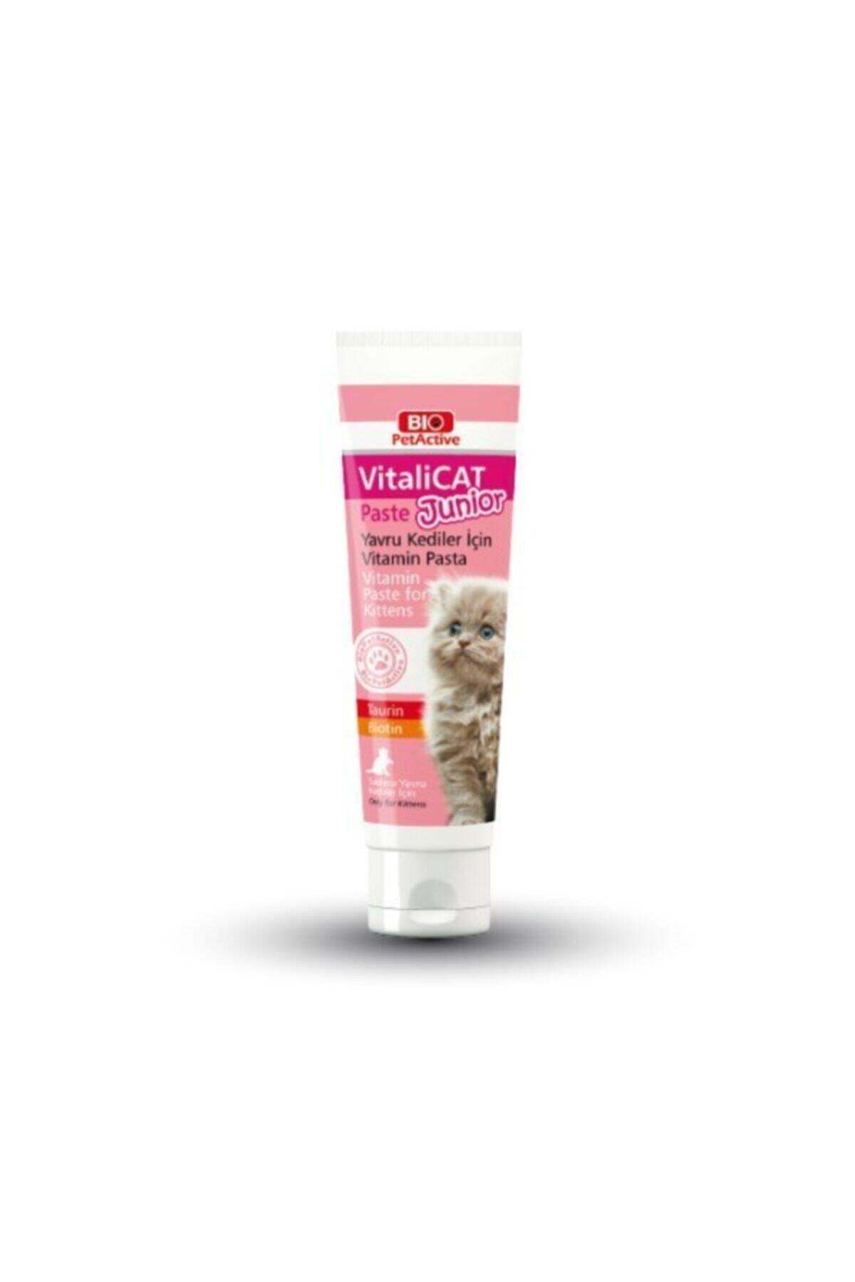 Pet Active Vitalicat Junior Paste Kedi Multivitamin Macunu 100 Ml