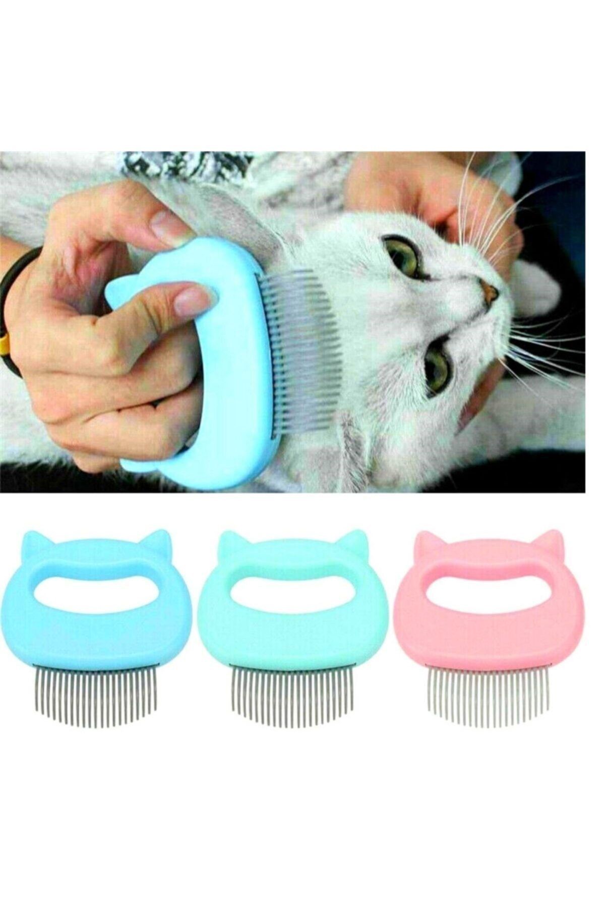 ARD Kedi Köpek Tüy Tarağı Mavi