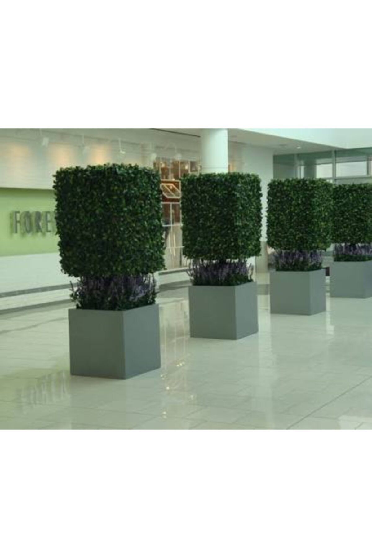 SAKSI ADASI Kare Fiber Saksı 50x50x50
