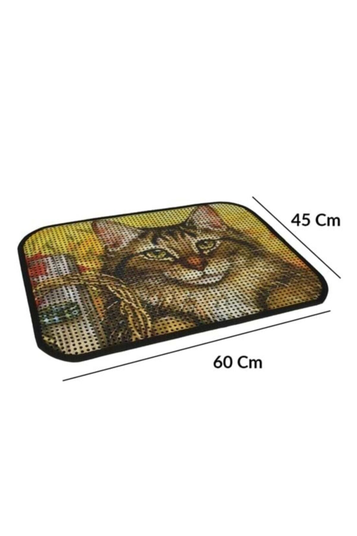 AWAX Resimli Lux Kedi Kumu Toplama Paspası 60*45 Cm