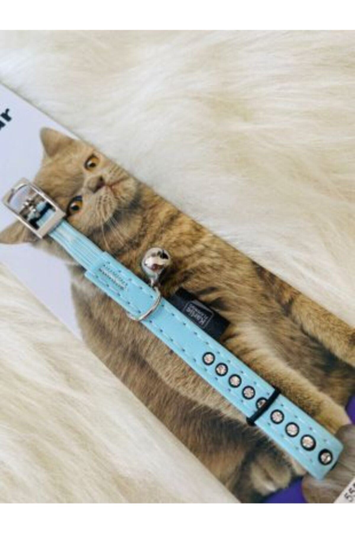 kedikerekedi Deri Taşlı Kedi Tasması Mavi