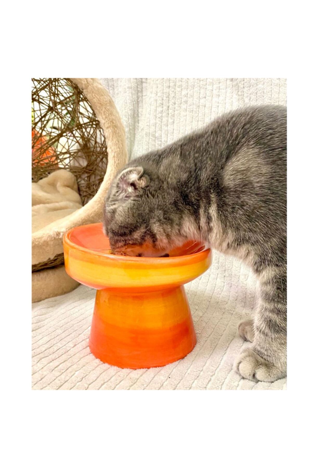 stilinbu Seramik Kedi Ve Kopek Mama Su Kabı (turuncu)