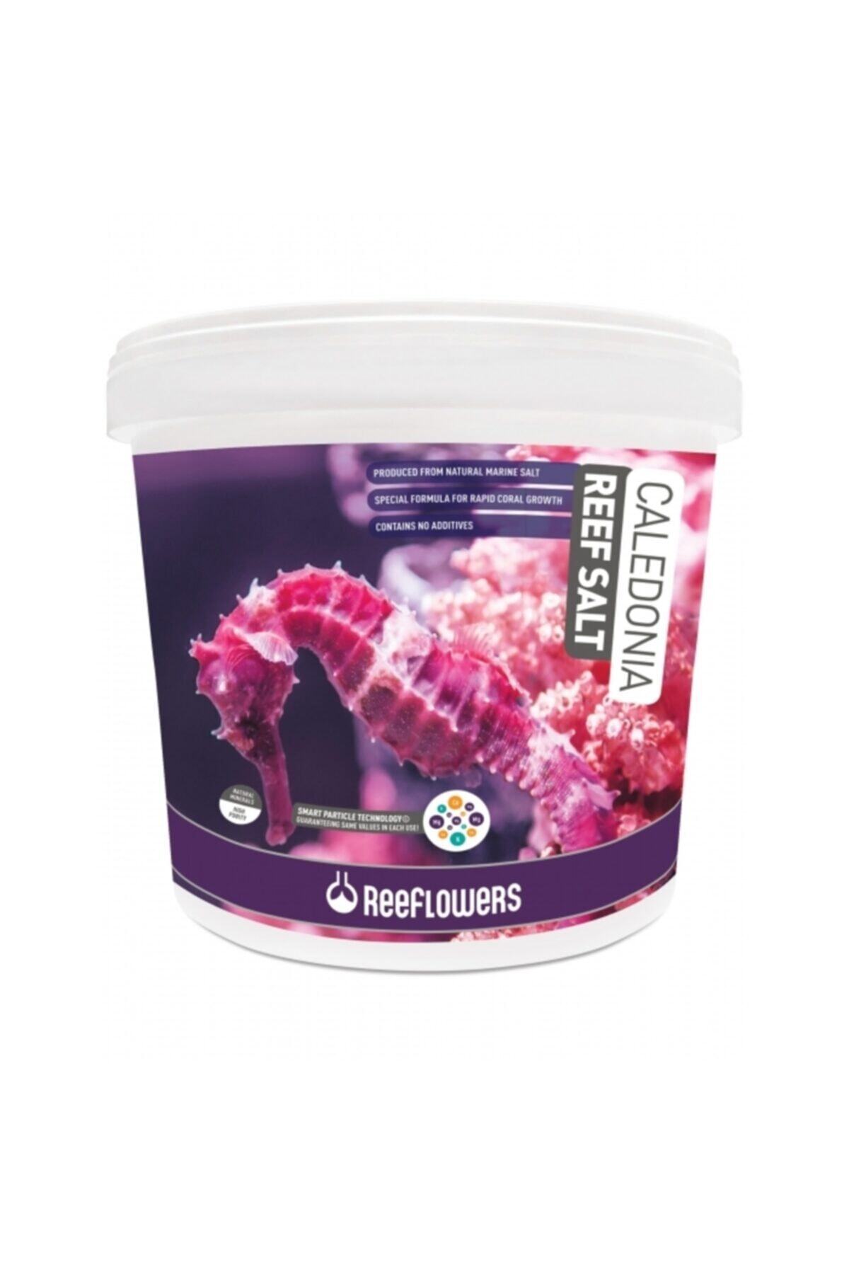 ReeFlowers Caledonia Reef Salt 22,5 Kg Deniz Tuzu
