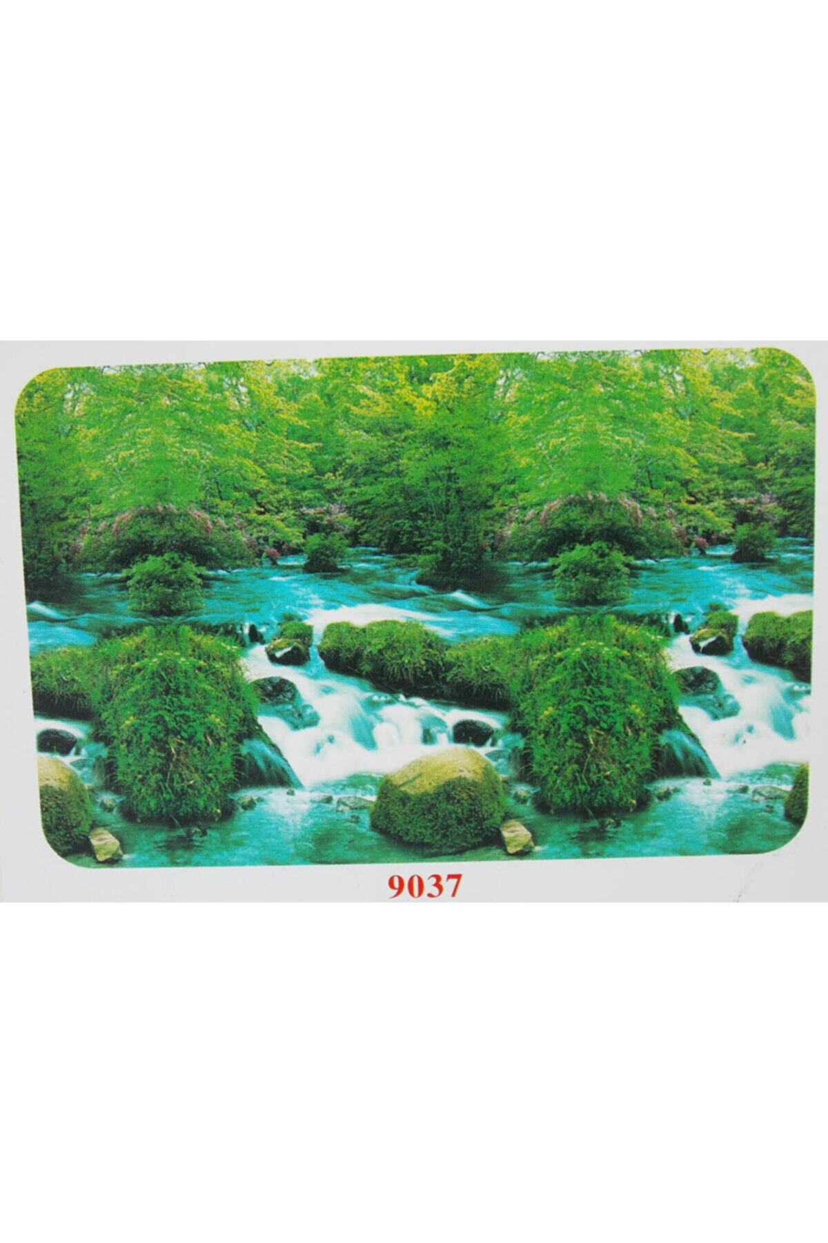 Xiongfa Poster 50 Cm-15 M