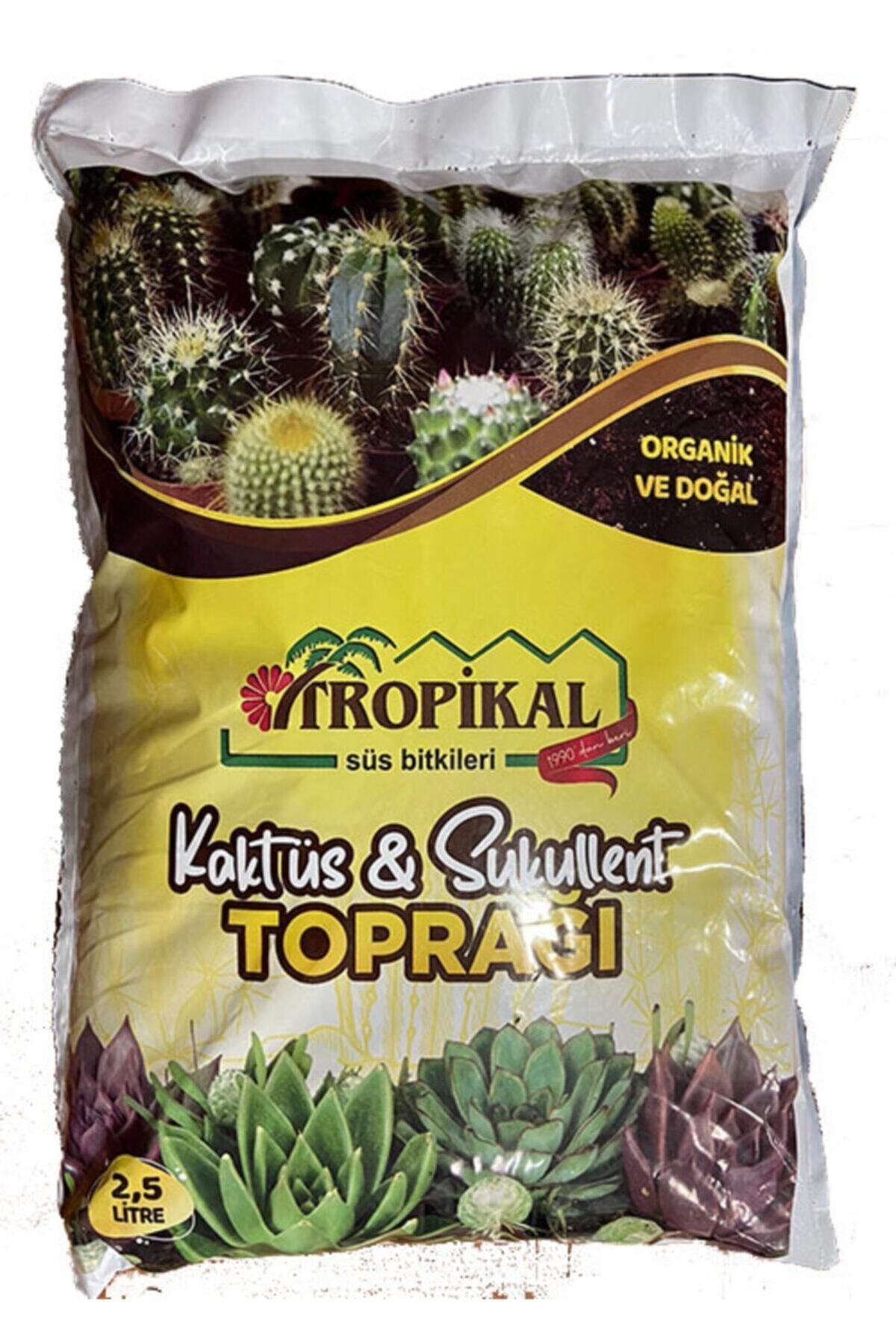 gül çiçek sarayı Kaktüs Toprağı 2,5 Lt, Sukulent Toprağı, Organik Kaktüs Toprağı, Vitaminli Toprak