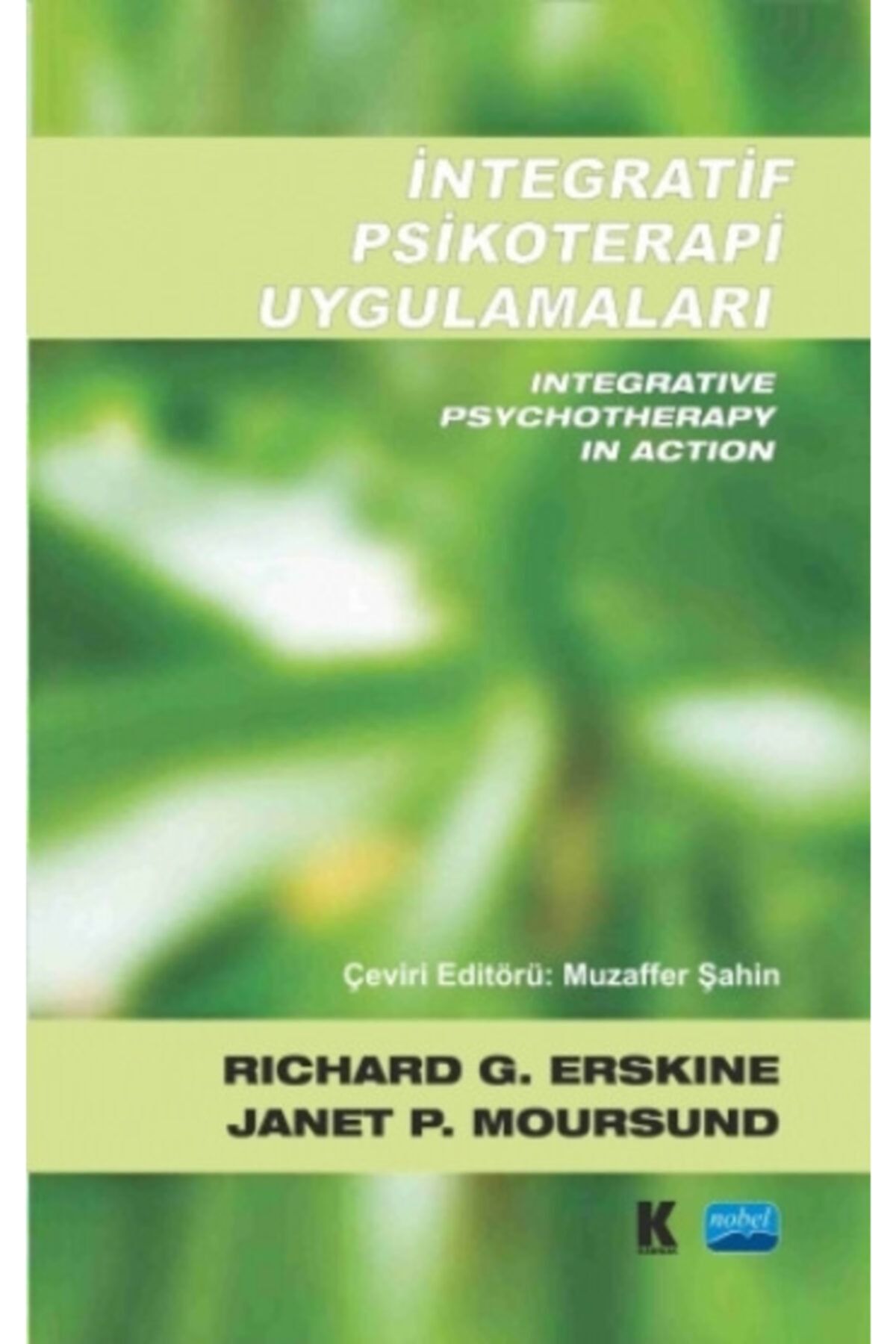 Nobel Akademik Yayıncılık Integratif Psikoterapi Uygulamaları