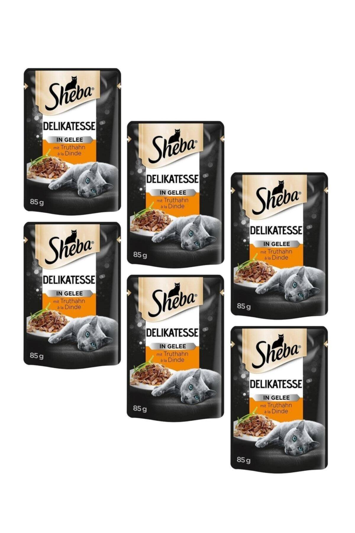 SHEBA Pouch Hindili Yetişkin Kedi Konservesi 85gr (6 Adet)