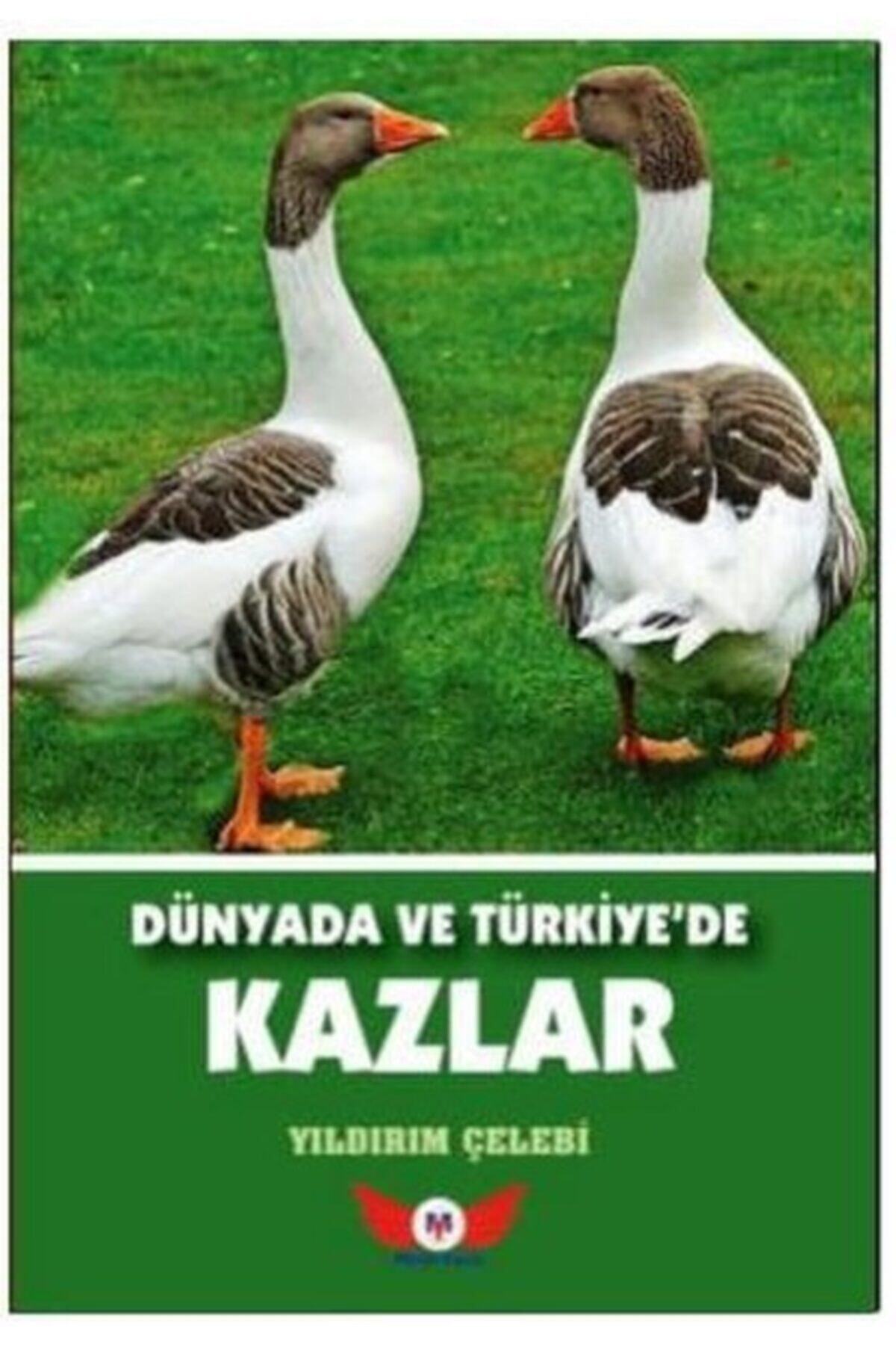 Minel Yayınları Dünyada Ve Türkiye'de Kazlar